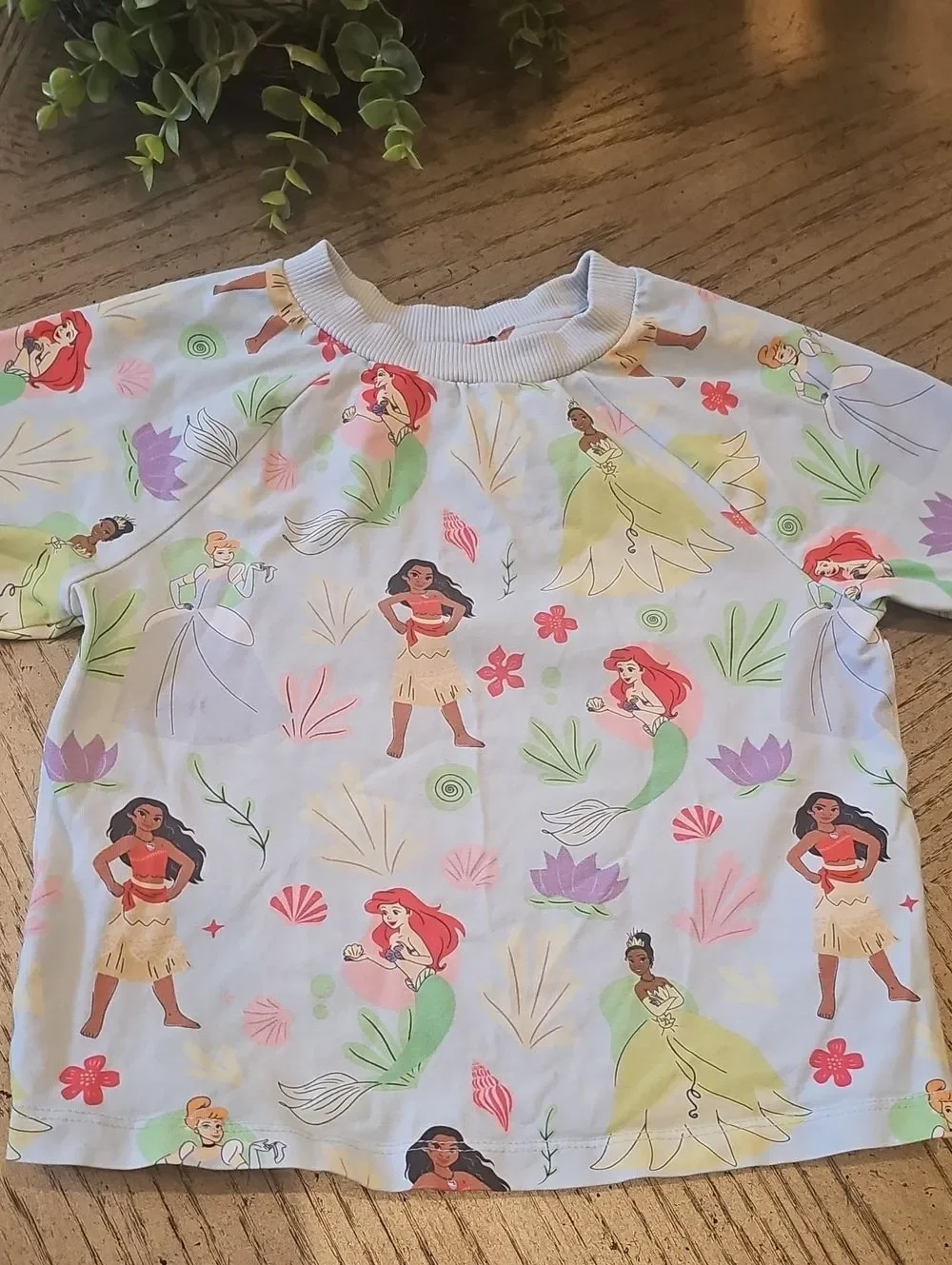 Disney Blue Pastel Princess Print Top and Tulle Skort Size 5/6